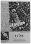 Rolex 1952 366.jpg